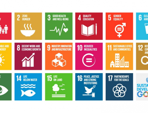 11 THINGS YOU SHOULD KNOW ABOUT THE Sustainable Development Goals (SDGs)