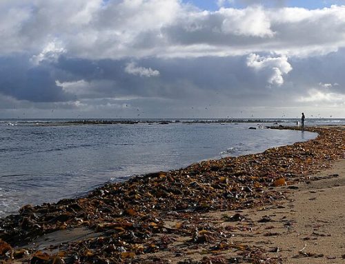 Best Towns for Raising a Family in Aberdeenshire